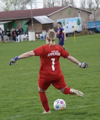 13.04.2025 SV G/W Ammendorf vs. SV Allstedt