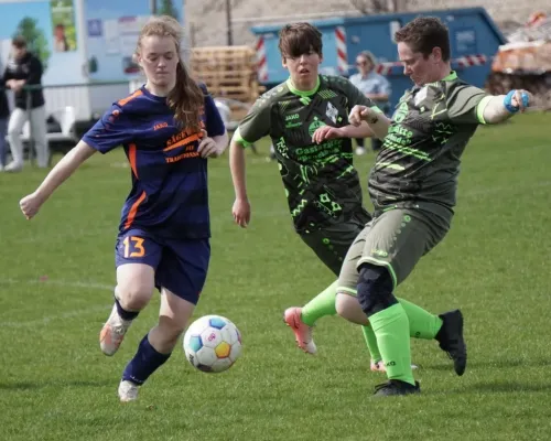 13.04.2025 SV G/W Ammendorf vs. SV Allstedt