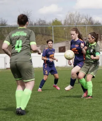 13.04.2025 SV G/W Ammendorf vs. SV Allstedt