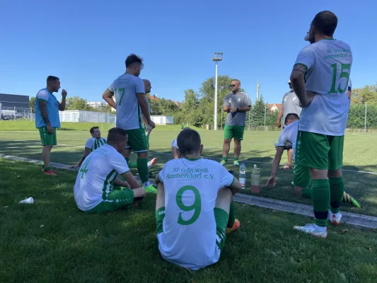 16.09.2023 FC Halle Neustadt II vs. SV G/W Ammendorf