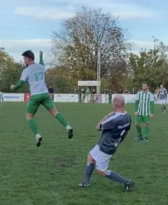 04.11.2023 TSG Kröllwitz vs. SV G/W Ammendorf