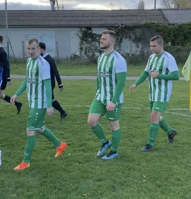 12.11.2023 SV G/W Ammendorf vs. SV Blau-Weiß Dölau III