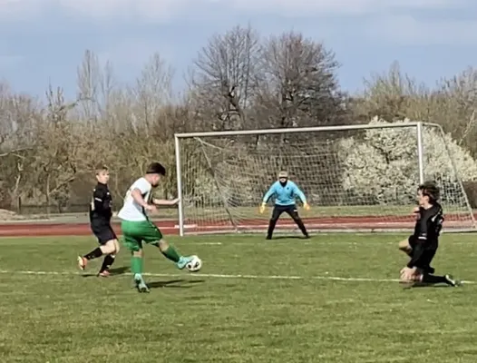 09.03.2024 Roter Stern Halle II vs. SV G/W Ammendorf