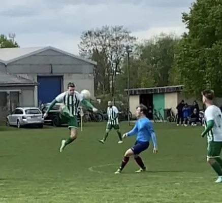 21.04.2024 SV G/W Ammendorf vs. Turbine Halle III